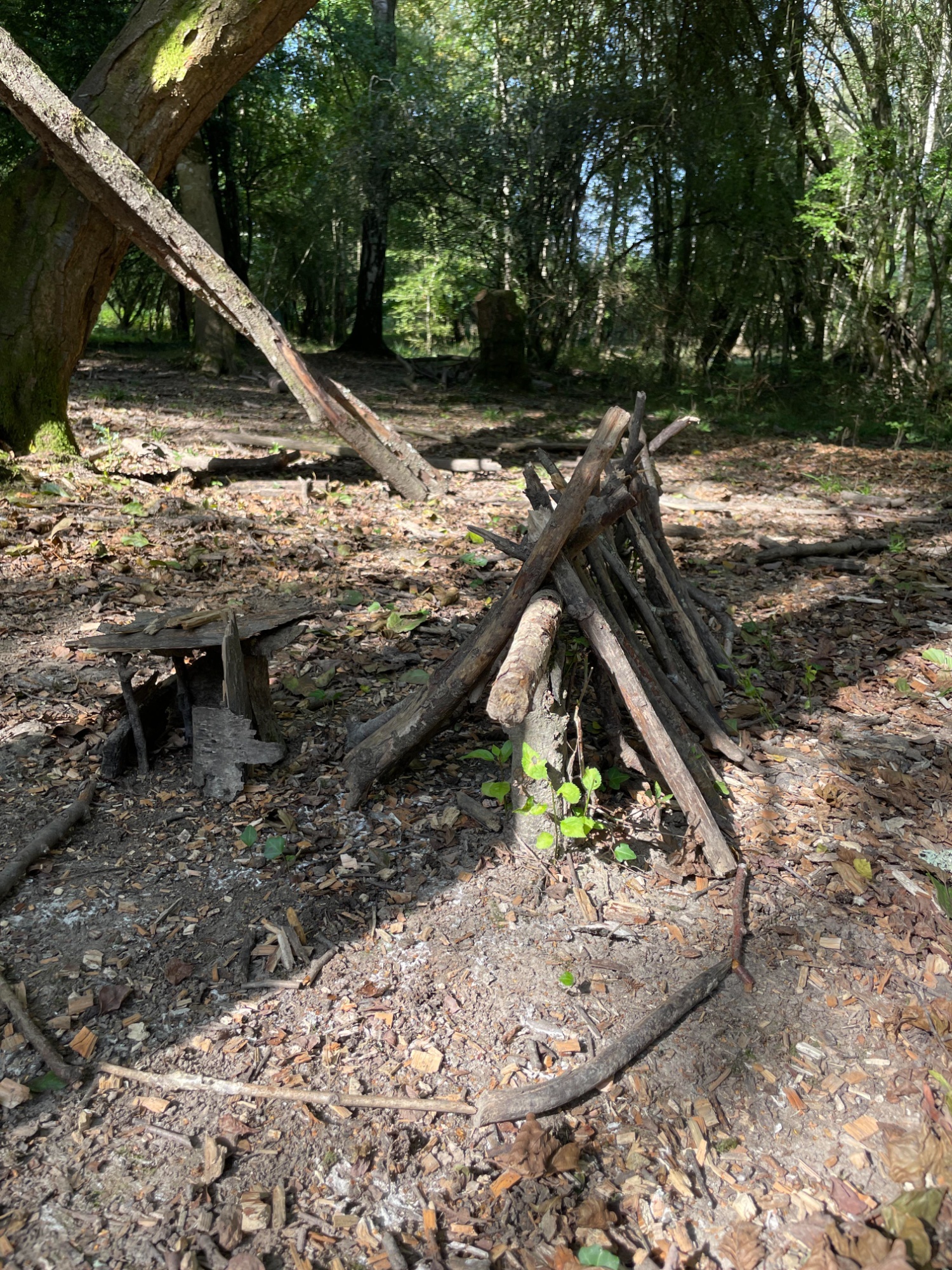Forest school activities.