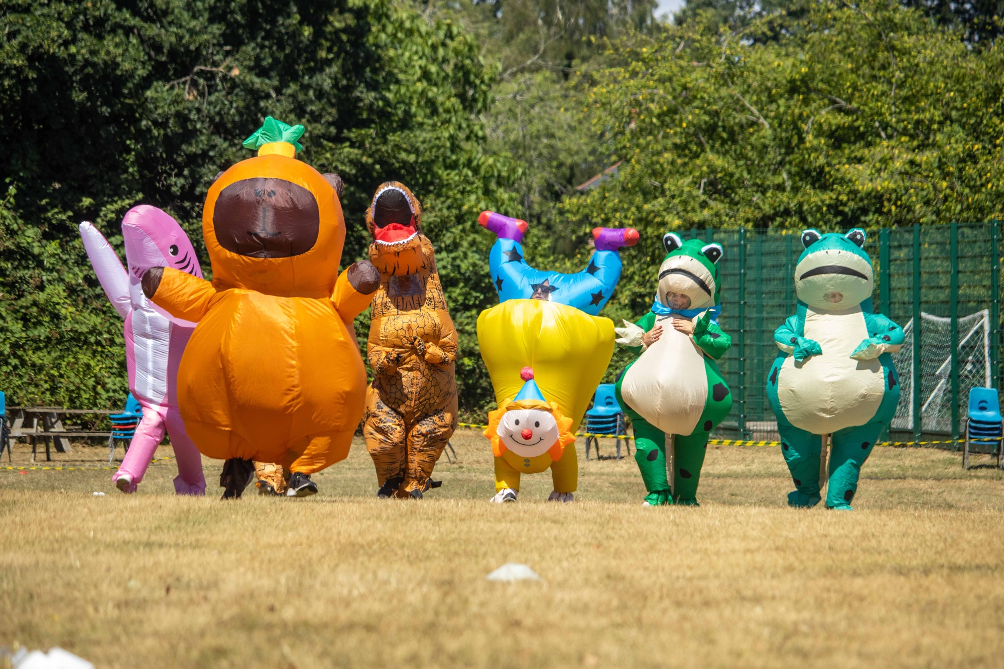 The teachers run their race in their colourful animal costumes