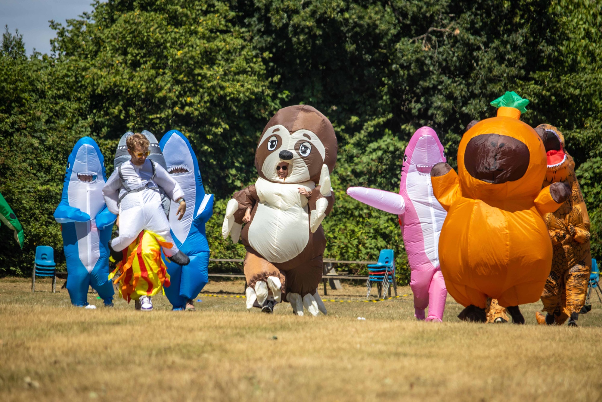 The teachers run their race in their colourful animal costumes